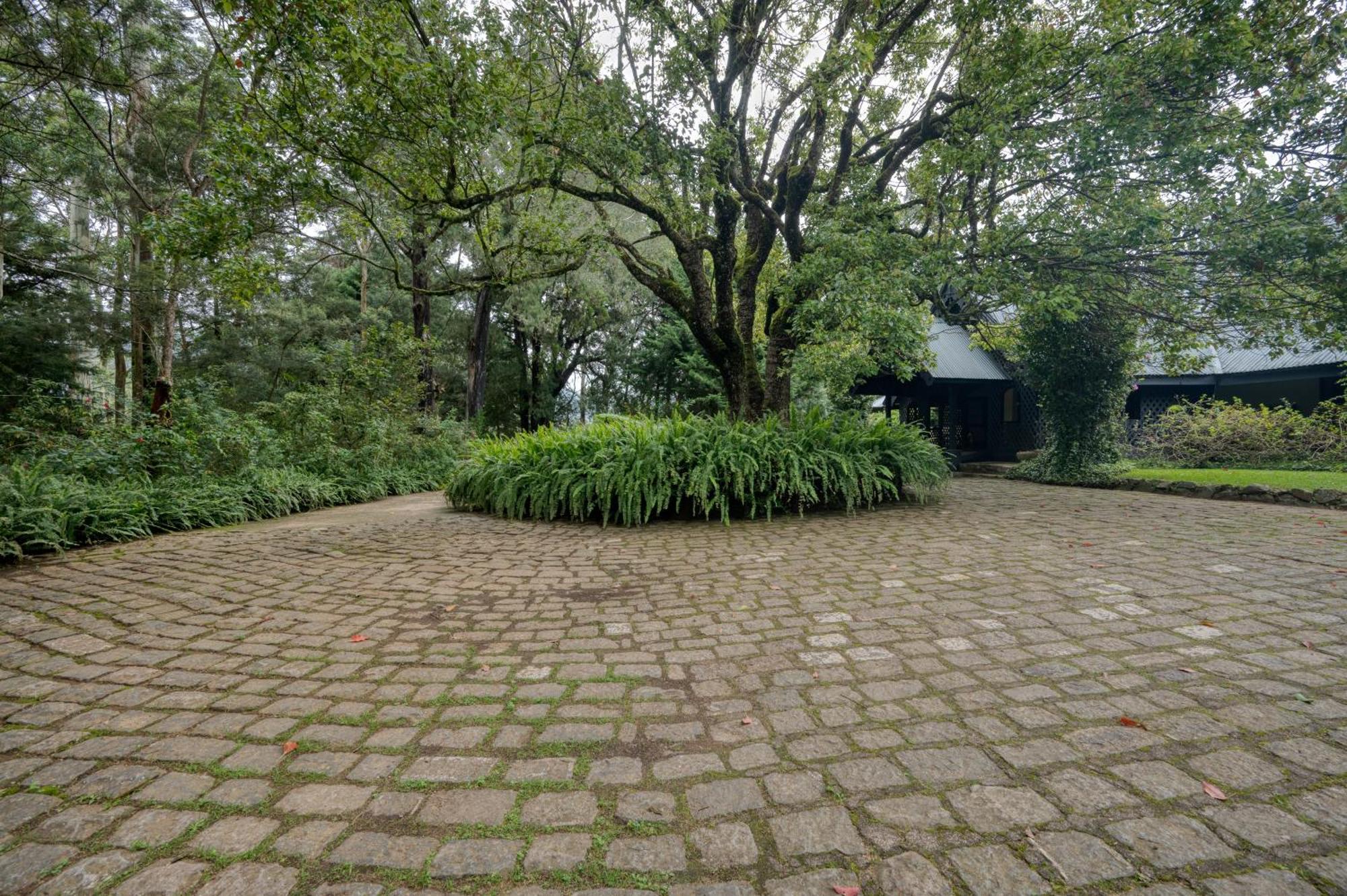 Ferncliff Bungalow Нувара Елия Екстериор снимка