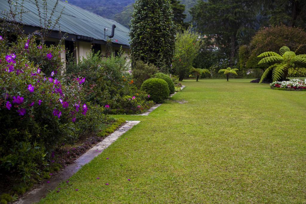 Ferncliff Bungalow Нувара Елия Екстериор снимка